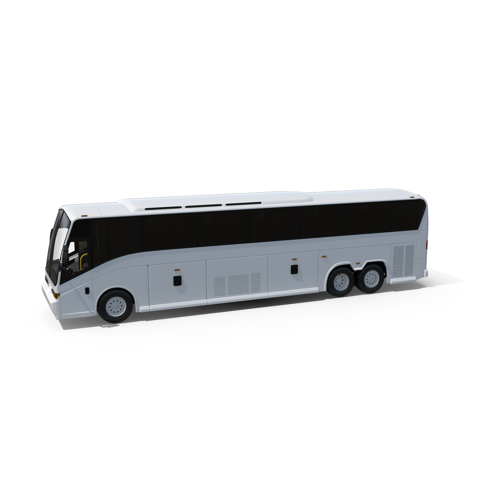 BUSES